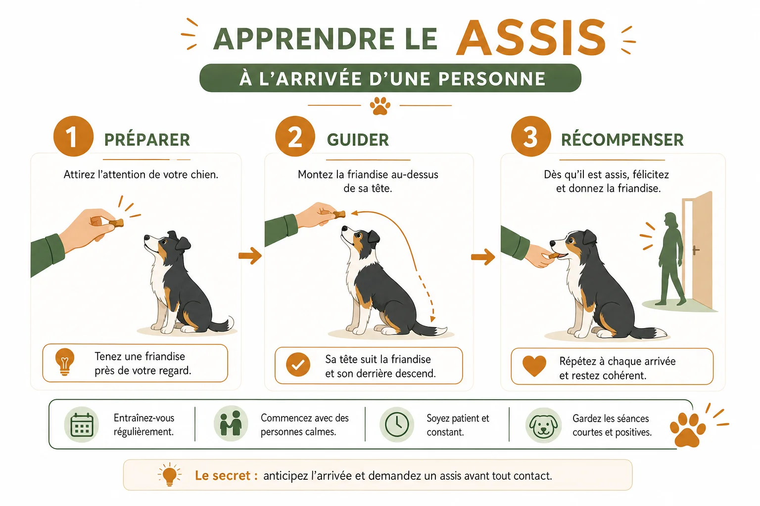 étapes pour que mon chien saute sur les gens moins souvent grâce au assis