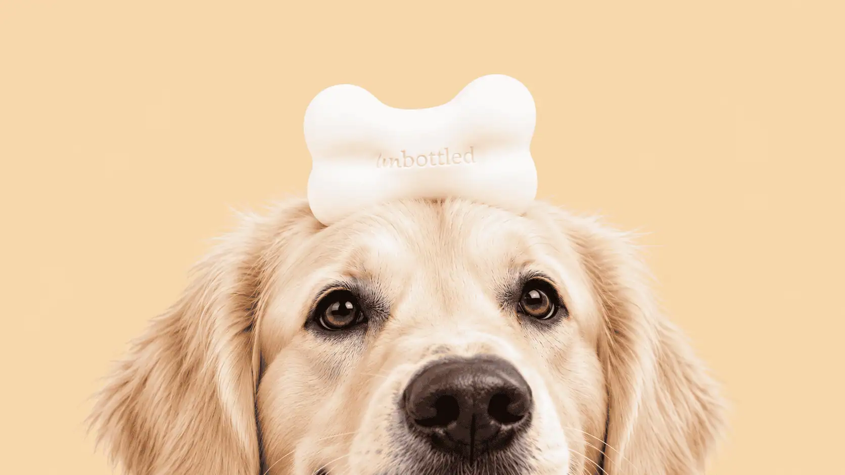 prix shampoing pour chien Unbottled et points de vente