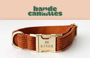 Collier en velours côtelé avec boucle gravée au nom du chien