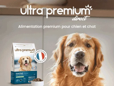Golden Retriever à côté d'un sac de croquettes Ultra Premium Direct Stérilisé